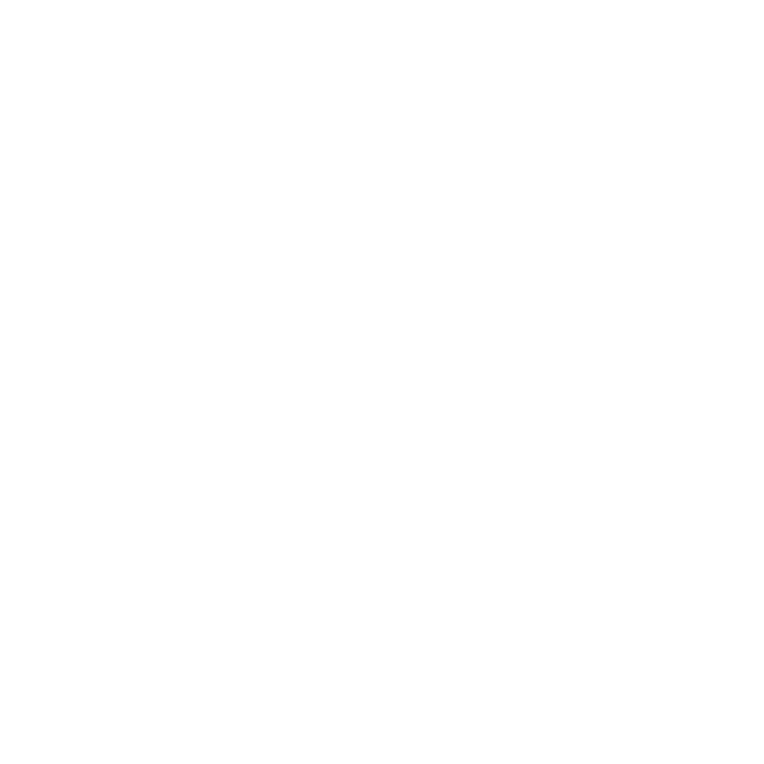 Padlock icon representing cyber security and data protection services