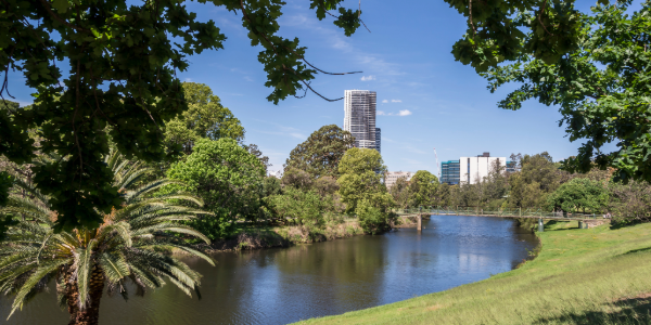 Parramatta Park with the river, footbridge and city skyline on a sunny day.