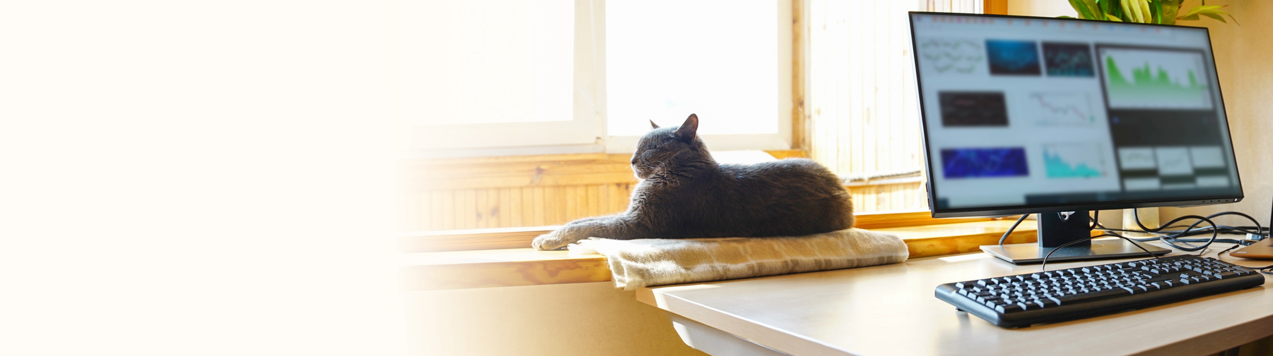 Remote work home office setup during a government remote work mandate caused by fuel shortages