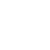 Padlock icon representing cyber security and data protection services